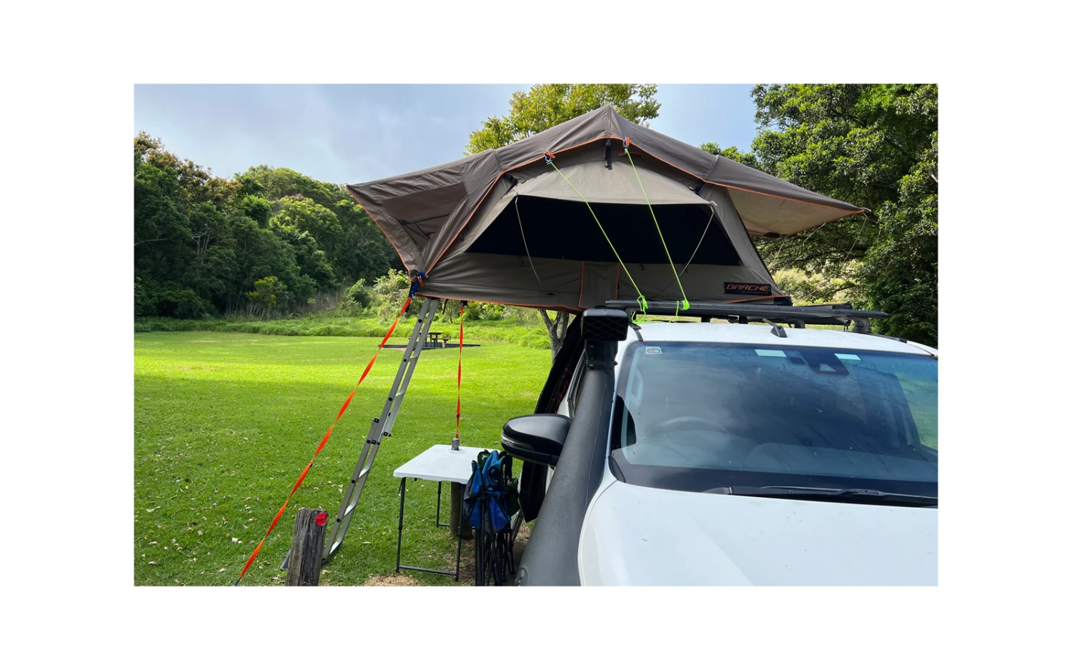 Peggy Peg Crocodile PeggySchnellspannklemme 4er Pack 10 Peggy Peg Crocodile PeggySchnellspannklemme 4er Pack – Bild 8