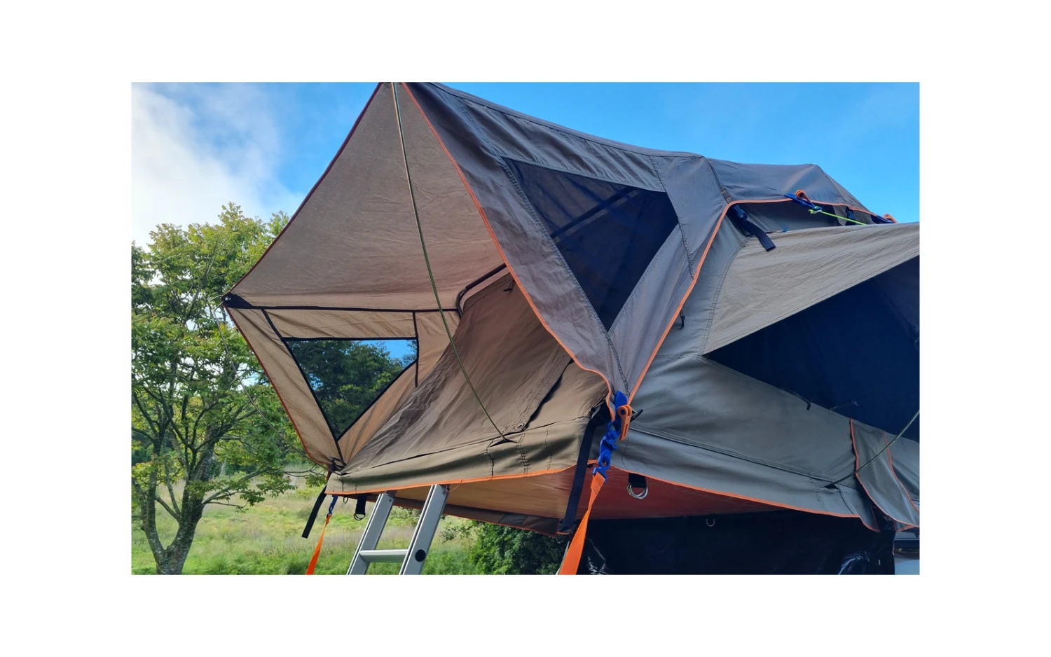 Peggy Peg Crocodile PeggySchnellspannklemme 4er Pack 17 Peggy Peg Crocodile PeggySchnellspannklemme 4er Pack – Bild 15