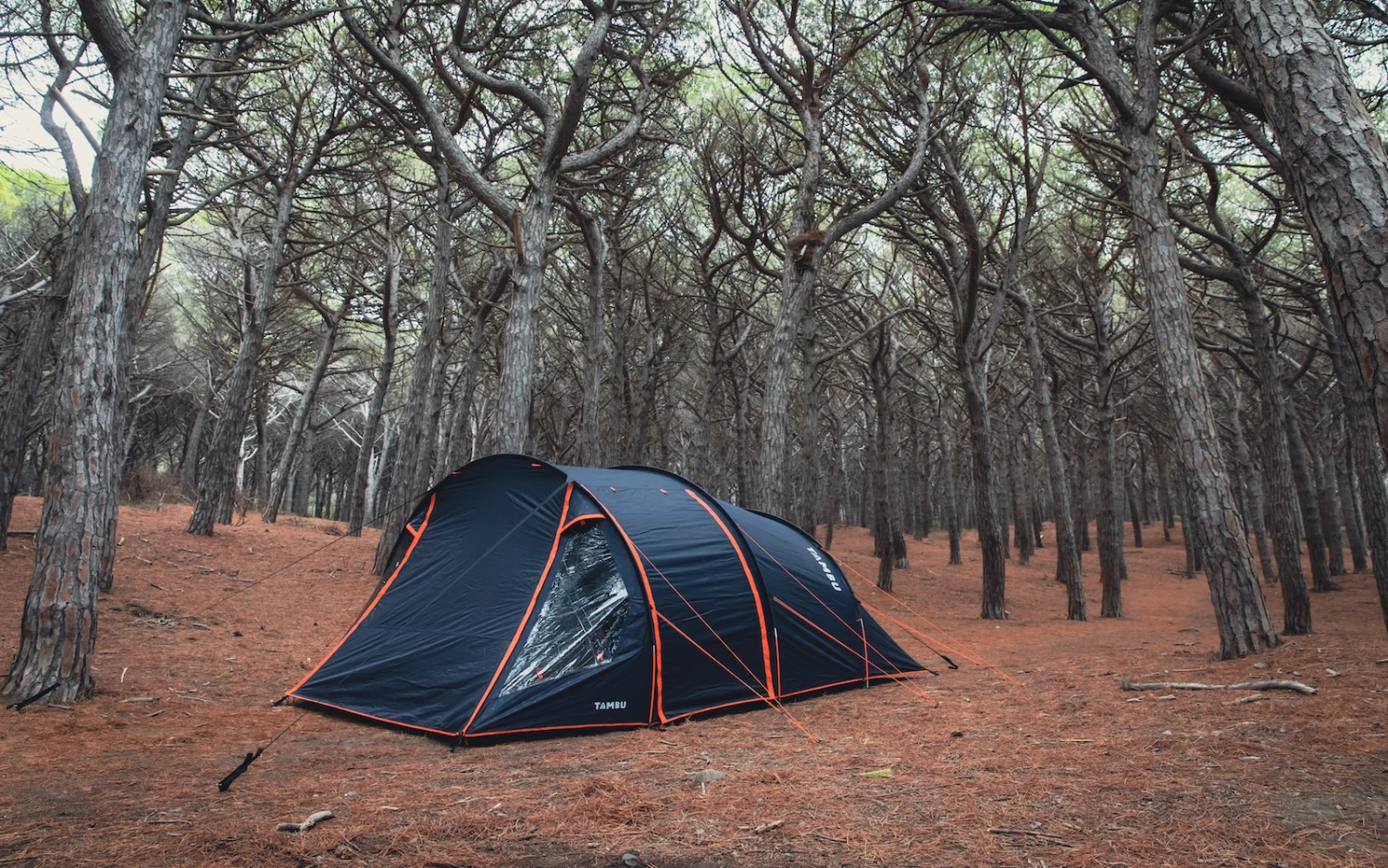 Tambu ABAKASA Familien Tunnelzelt Für 4 Personen 19 Tambu ABAKASA Familien Tunnelzelt Für 4 Personen – Bild 17